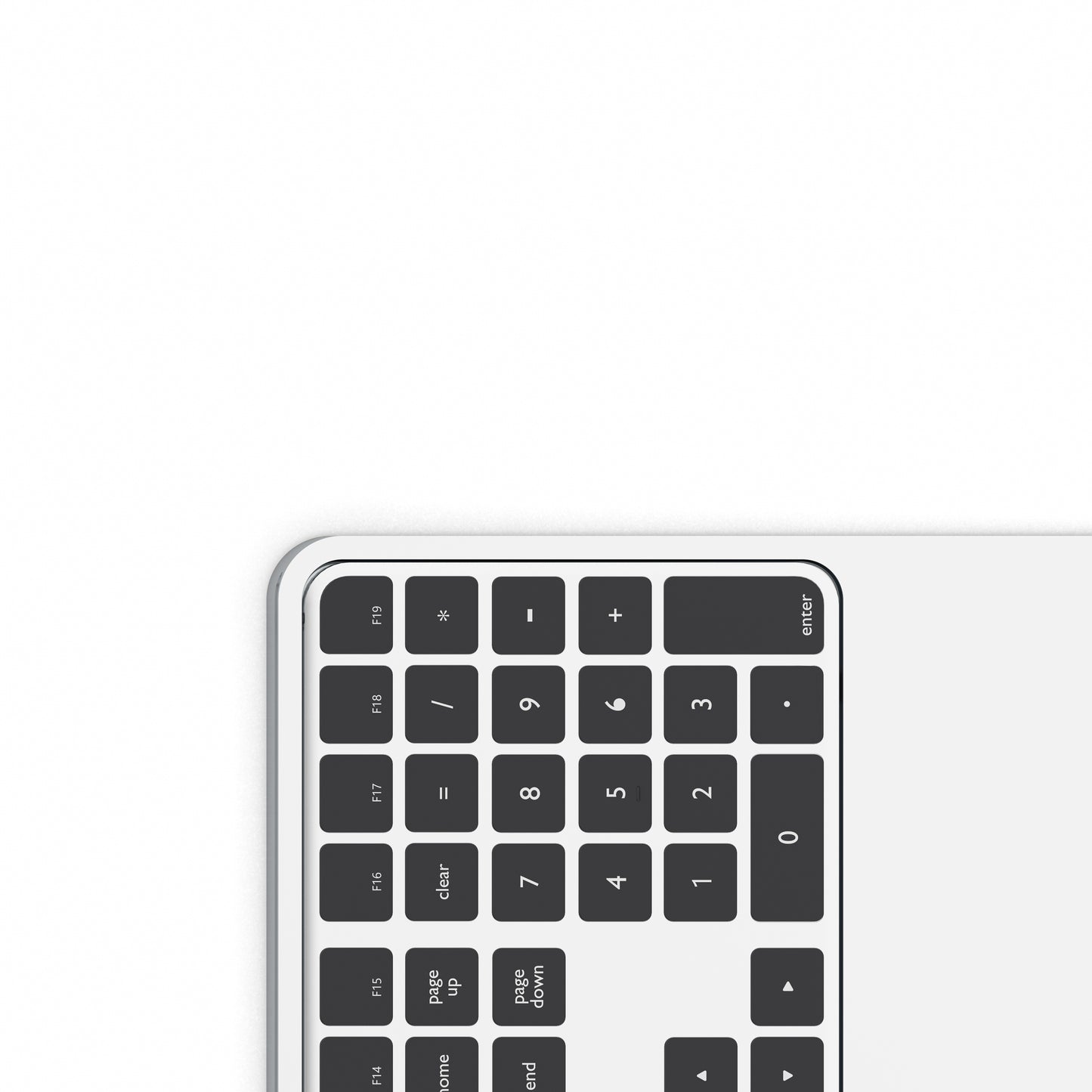 Magic Duo S Tray (New)